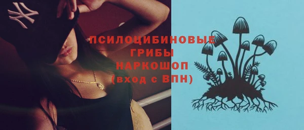 МДПВ Алексин