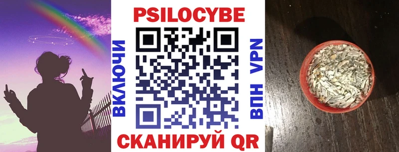 наркошоп  Петушки  Псилоцибиновые грибы прущие грибы 